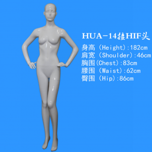 模特