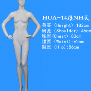 模特